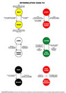 Interrelaties-Zang-Fu