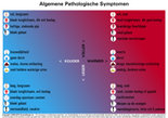 Patroondifferentiatie